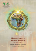 Measuring the Green wealth